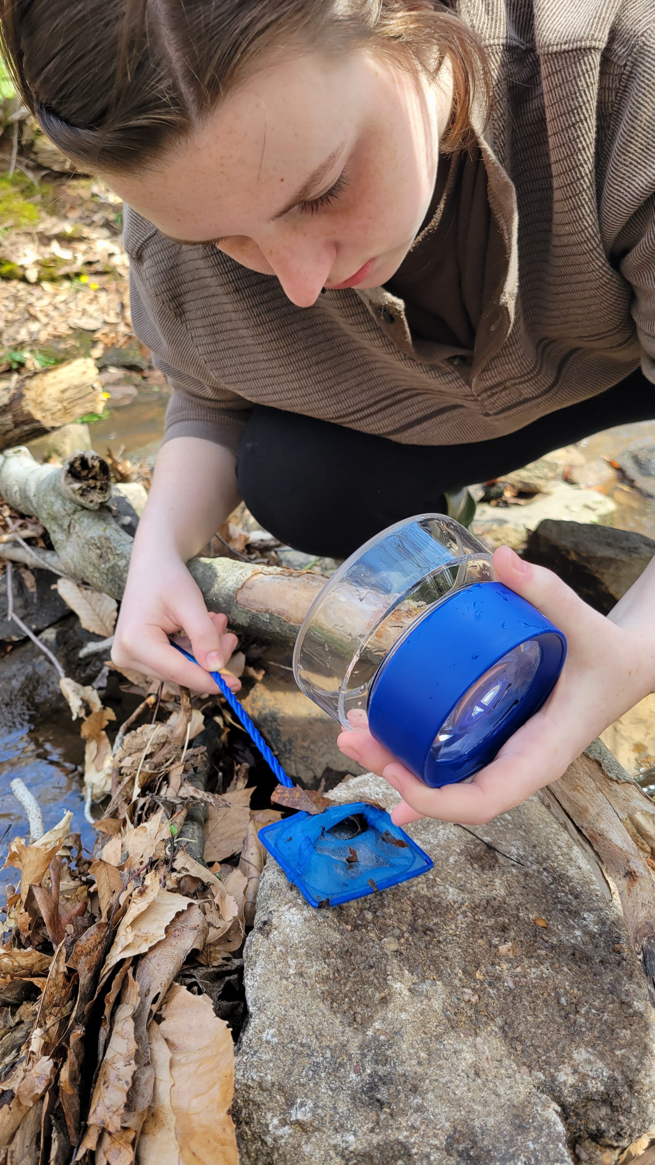 Stream Health & Bioindicators Research Project by Intern Lucy - The Art ...